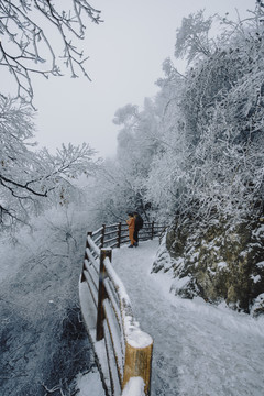 老君山的雪