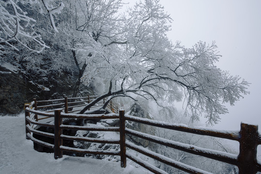 老君山的雪