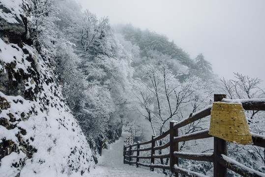 老君山的雪