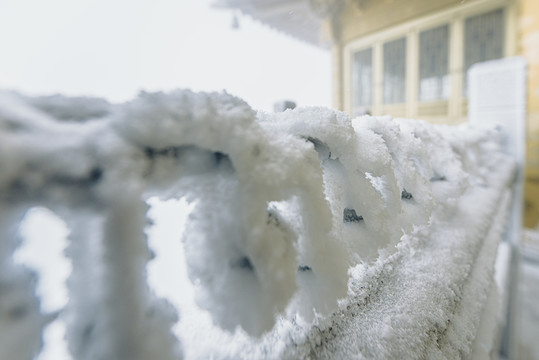 老君山的雪