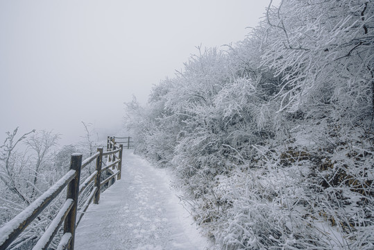 老君山的雪