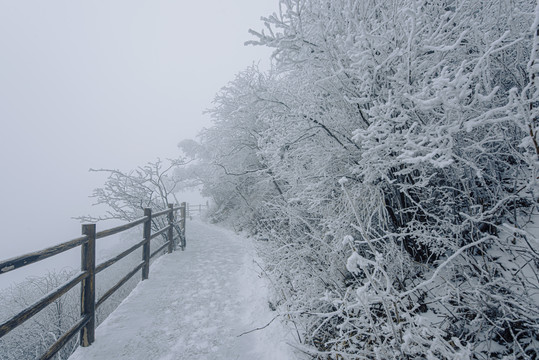 老君山的雪