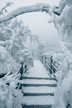 老君山的雪