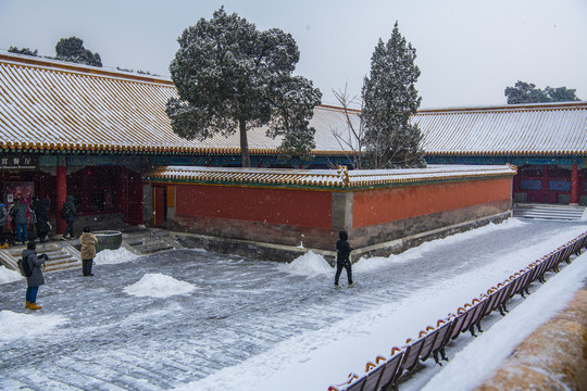 北京故宫雪景