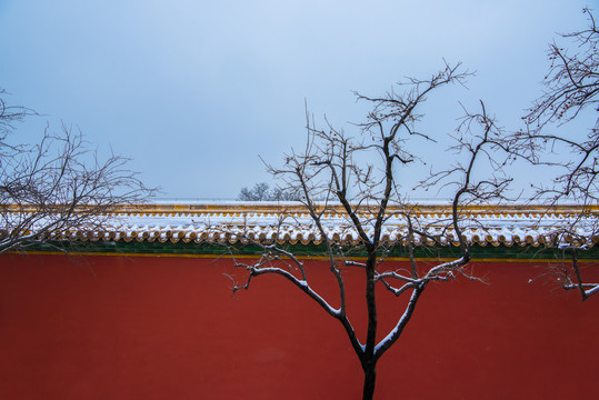 北京故宫雪景