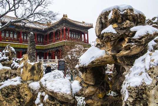 北京故宫御花园雪景