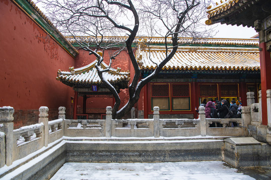 北京故宫御花园雪景