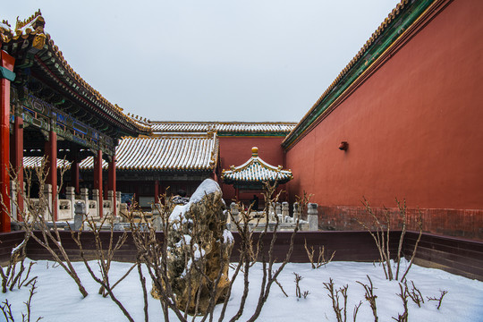 北京故宫御花园雪景