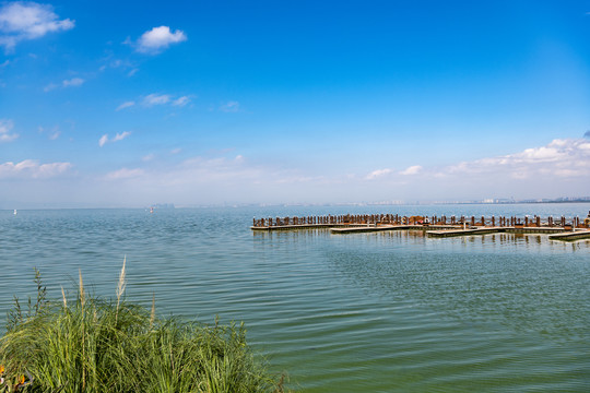 滇池湿地