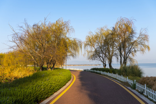 滇池湿地