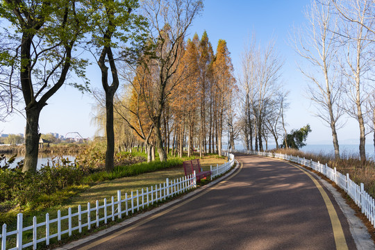 滇池湿地