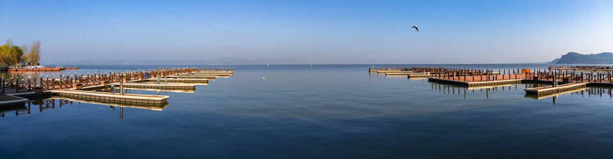 滇池大码头湿地