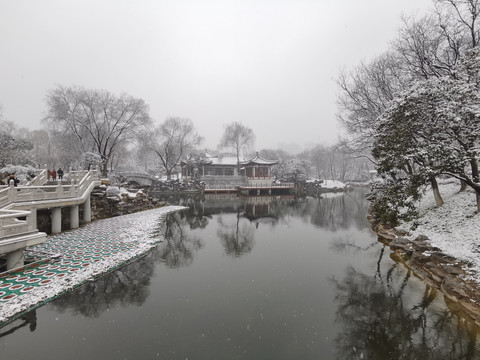 兴庆宫雪景