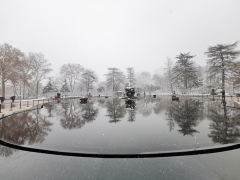 雪中兴庆宫