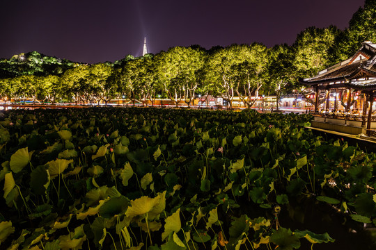 杭州宝石山夜色