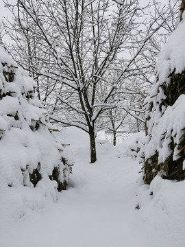 乡村农村雪景