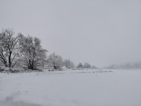 乡村雪景瑞雪兆丰年