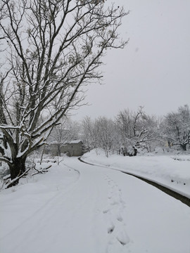 乡村雪景瑞雪兆丰年