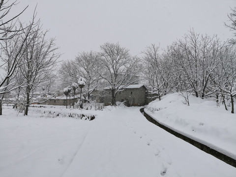 乡村雪景瑞雪兆丰年