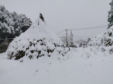 草堆草垛下雪天