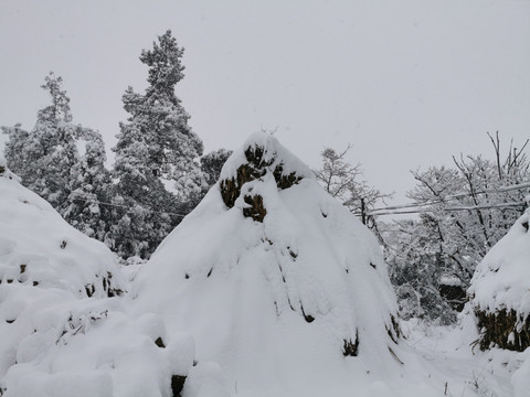 草堆草垛下雪天