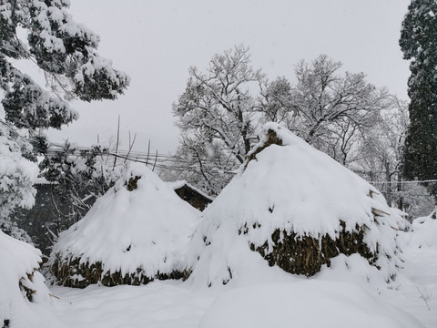 草堆草垛下雪天