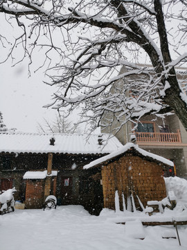 云南民居下雪乡村雪景