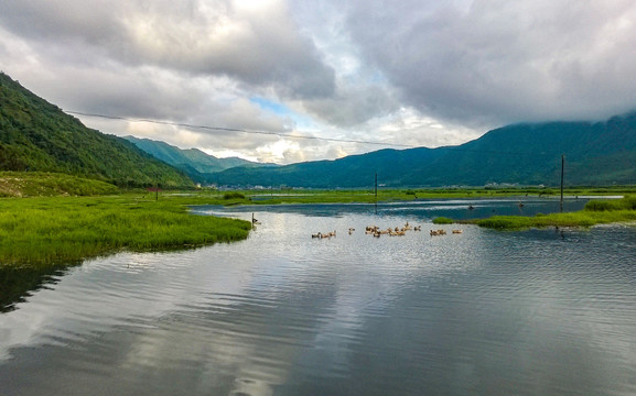 云南腾冲草海湿地