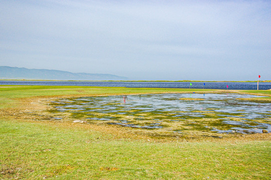 青海草原