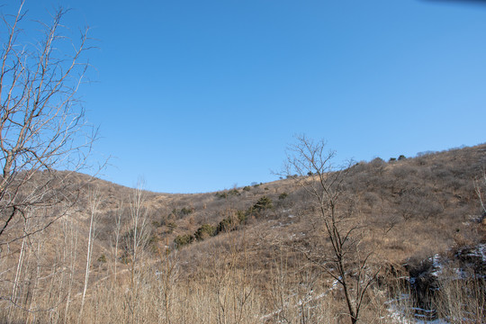 冬日山山梁风景