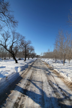 田间路