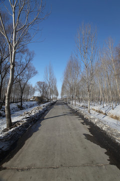 冬季田间路