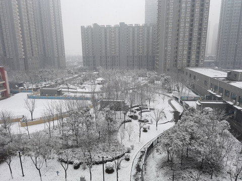 雪中寒冷环境的城市