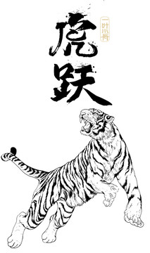 國(guó)潮手繪虎躍