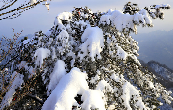 竹溪春雪景