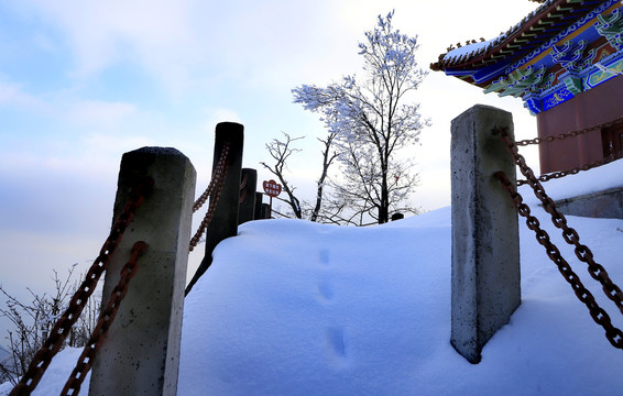 竹溪春天雪