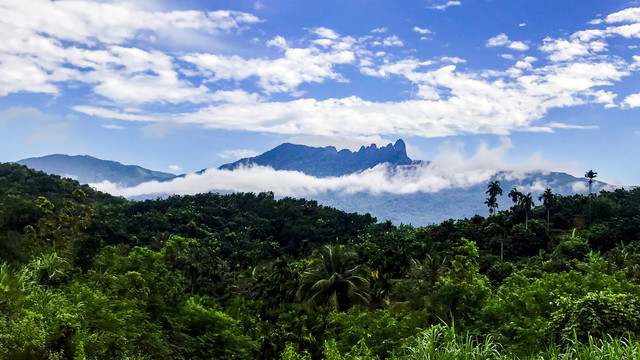 海南热带雨林公园