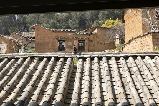 青瓦屋顶土木结构传统民居