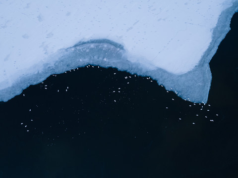天鵝湖