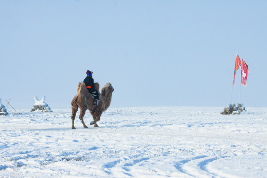 雪原蒙古族骑骆驼