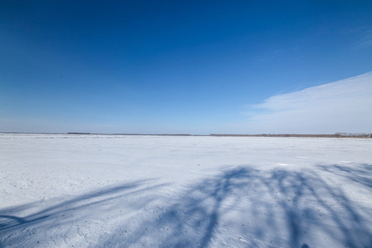 白雪覆盖的大地