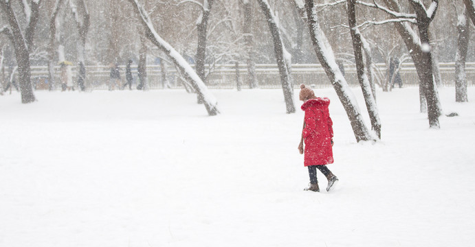 雪中行