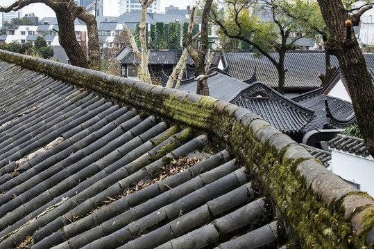 黄鹤楼公园