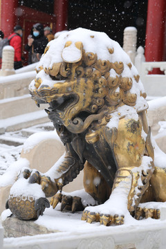 故宫乾清宫铜狮子雪景