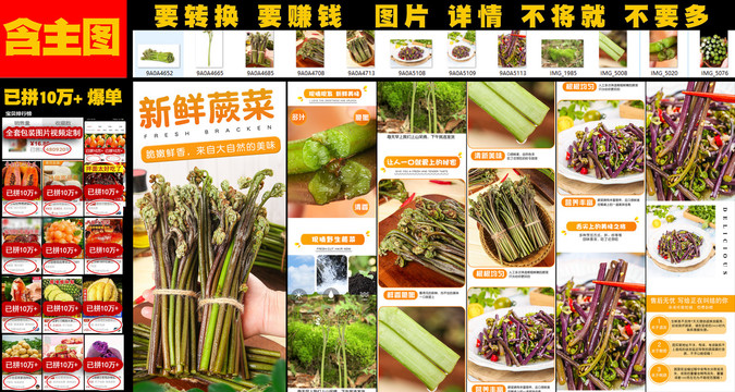 新鮮蕨菜詳情