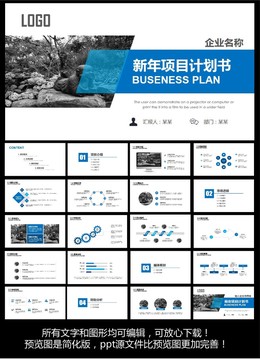 新年項(xiàng)目計(jì)劃書