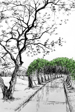 藤蔓走廓插畫