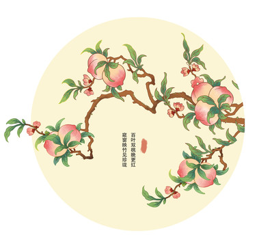 桃子插畫