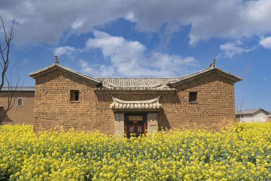 蓝天白云传统民居田园油菜花