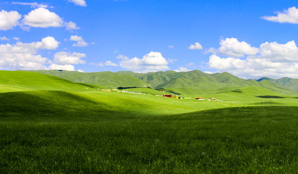 甘南桑科草原